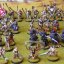 Overview of the horde